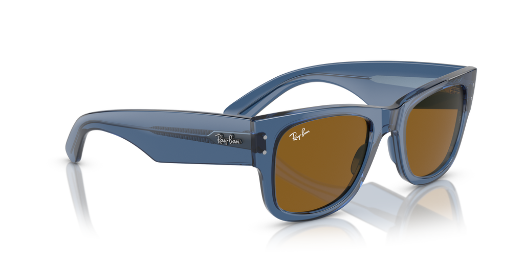 Ray-Ban | 0RB0840S