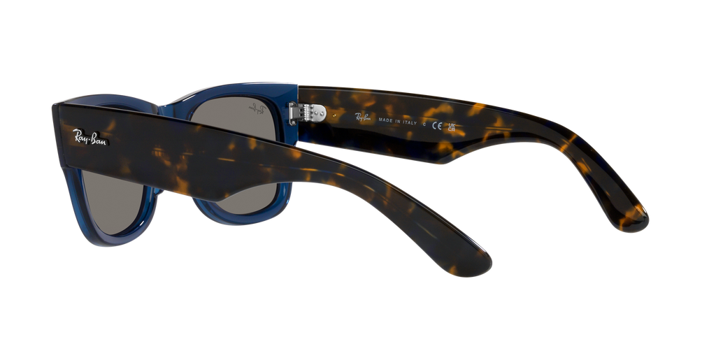 Ray-Ban | 0RB0840S