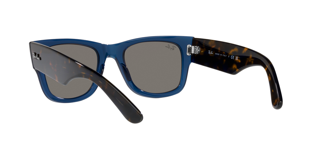 Ray-Ban | 0RB0840S