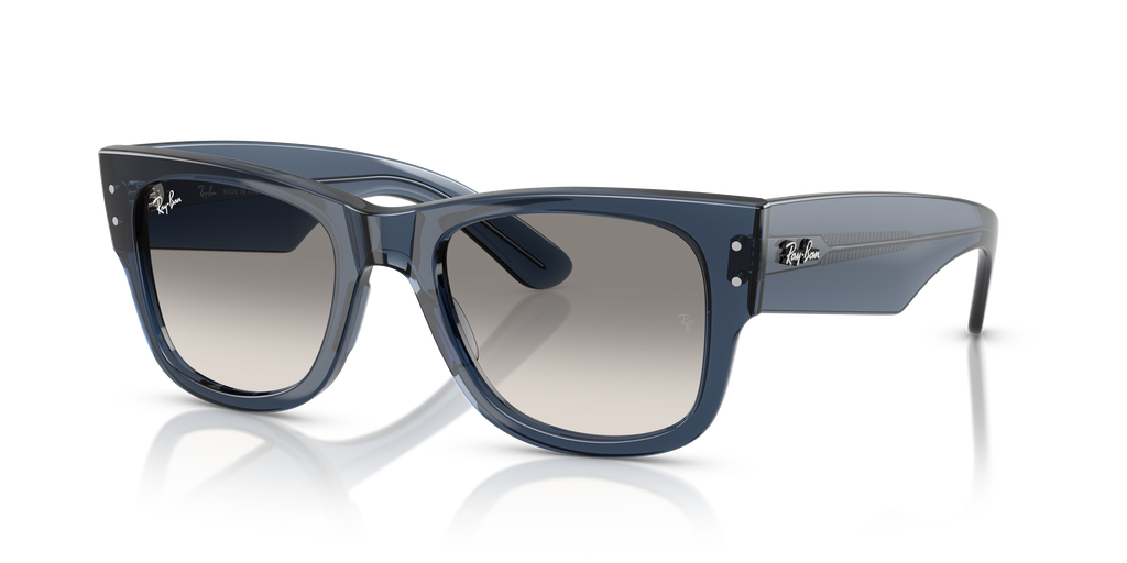 Ray-Ban | 0RB0840S