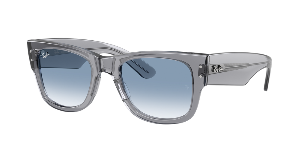 Ray-Ban | 0RB0840S
