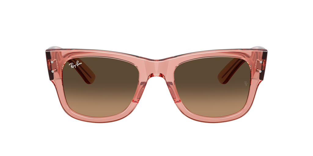 Ray-Ban | 0RB0840S