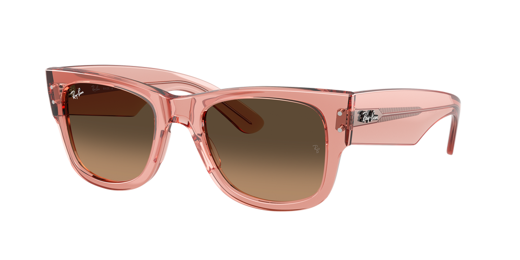 Ray-Ban | 0RB0840S