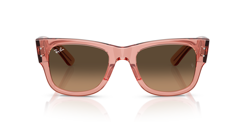 Ray-Ban | 0RB0840S