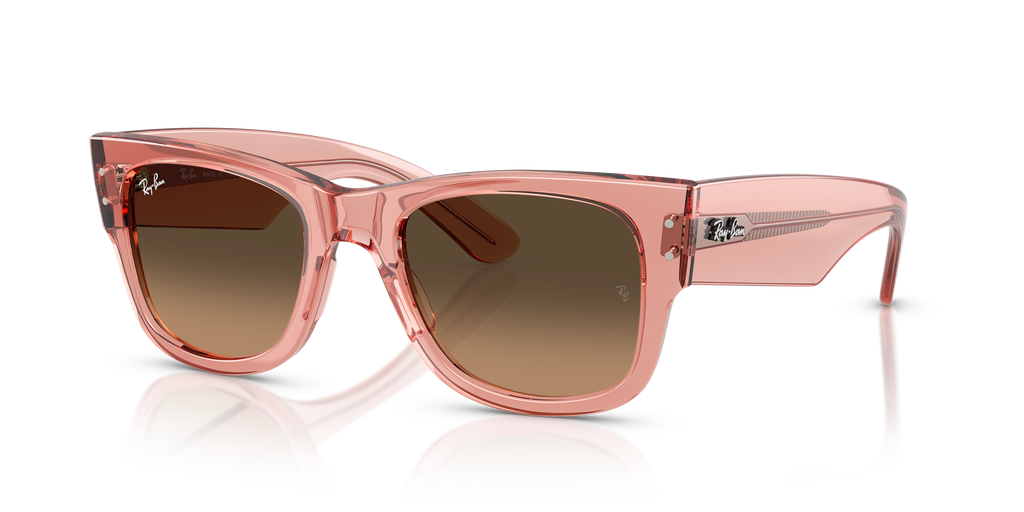 Ray-Ban | 0RB0840S
