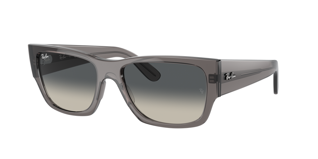 Ray-Ban | 0RB0947S