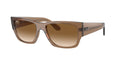 Ray-Ban | 0RB0947S