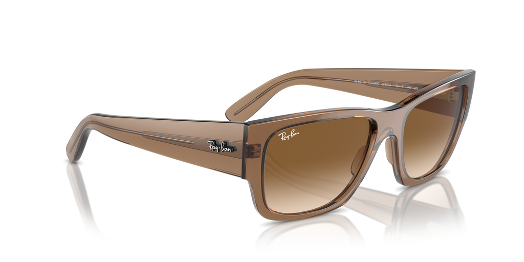 Ray-Ban | 0RB0947S