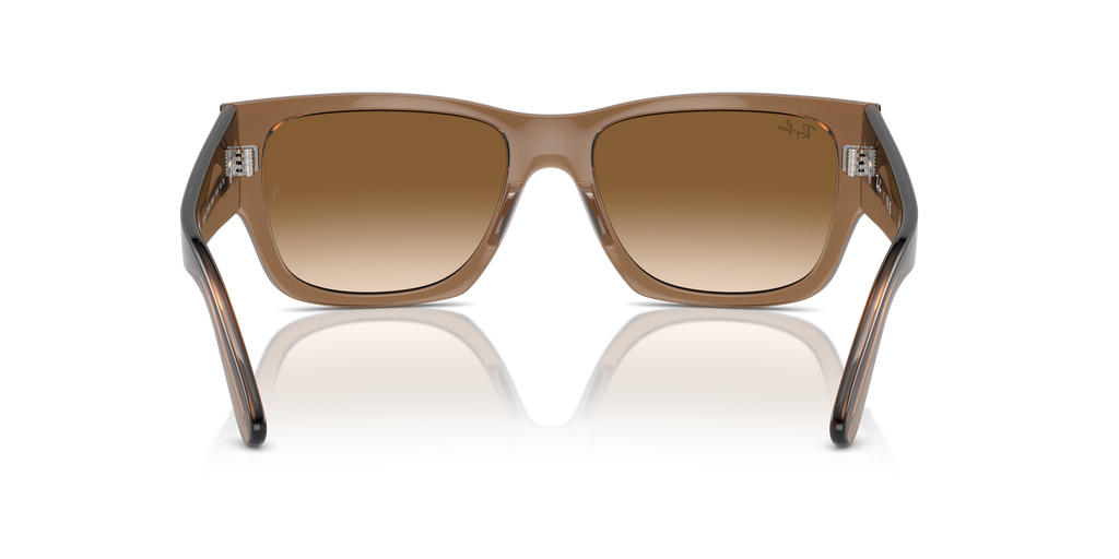 Ray-Ban | 0RB0947S