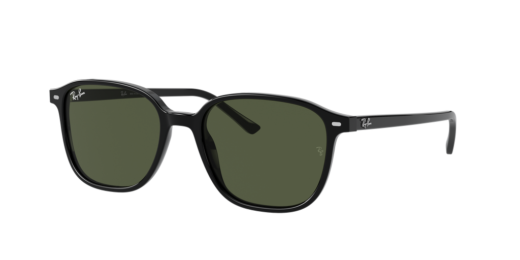 Ray-Ban | 0RB2193