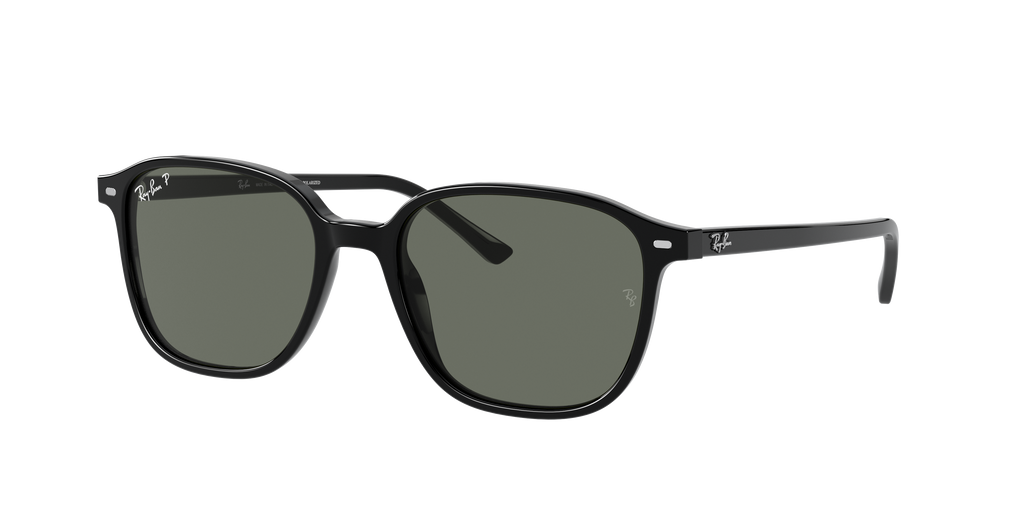 Ray-Ban | 0RB2193