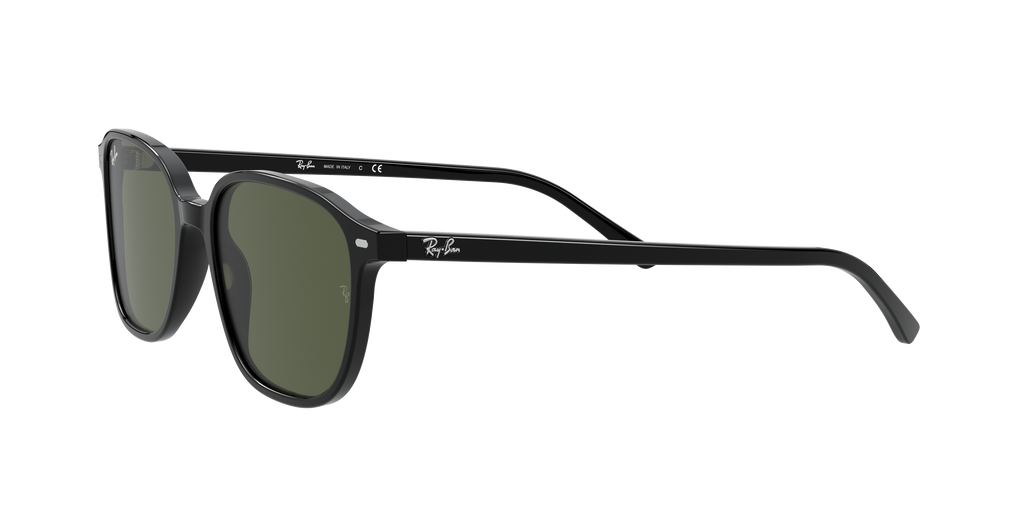 Ray-Ban | 0RB2193