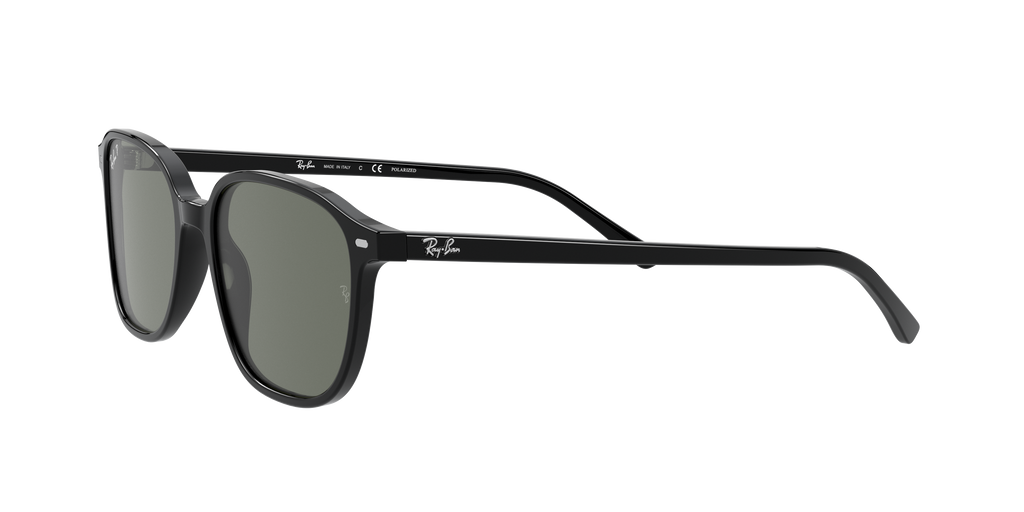 Ray-Ban | 0RB2193