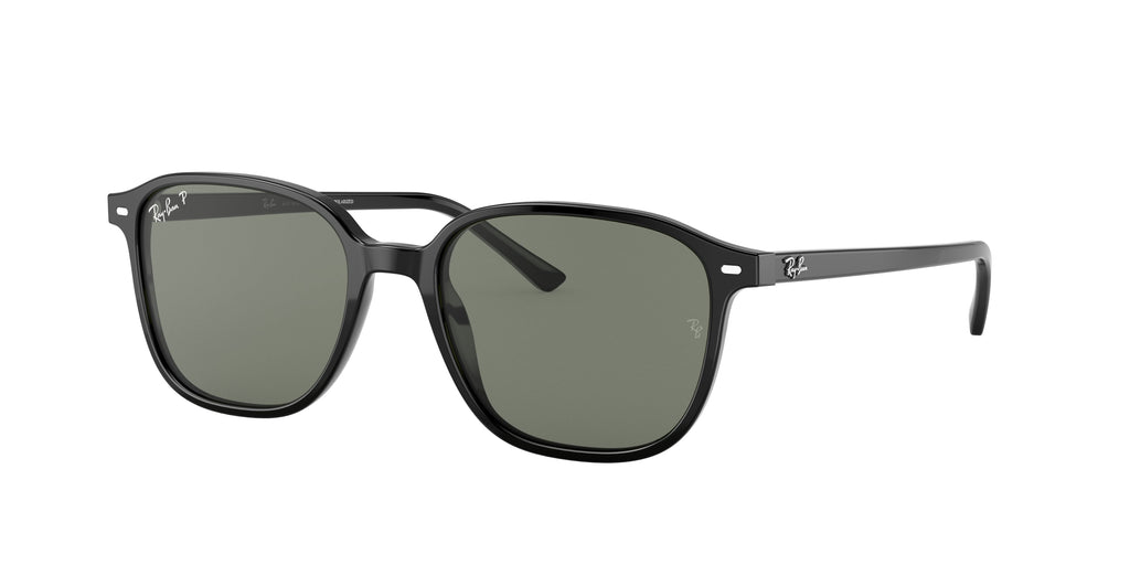 Ray-Ban | 0RB2193