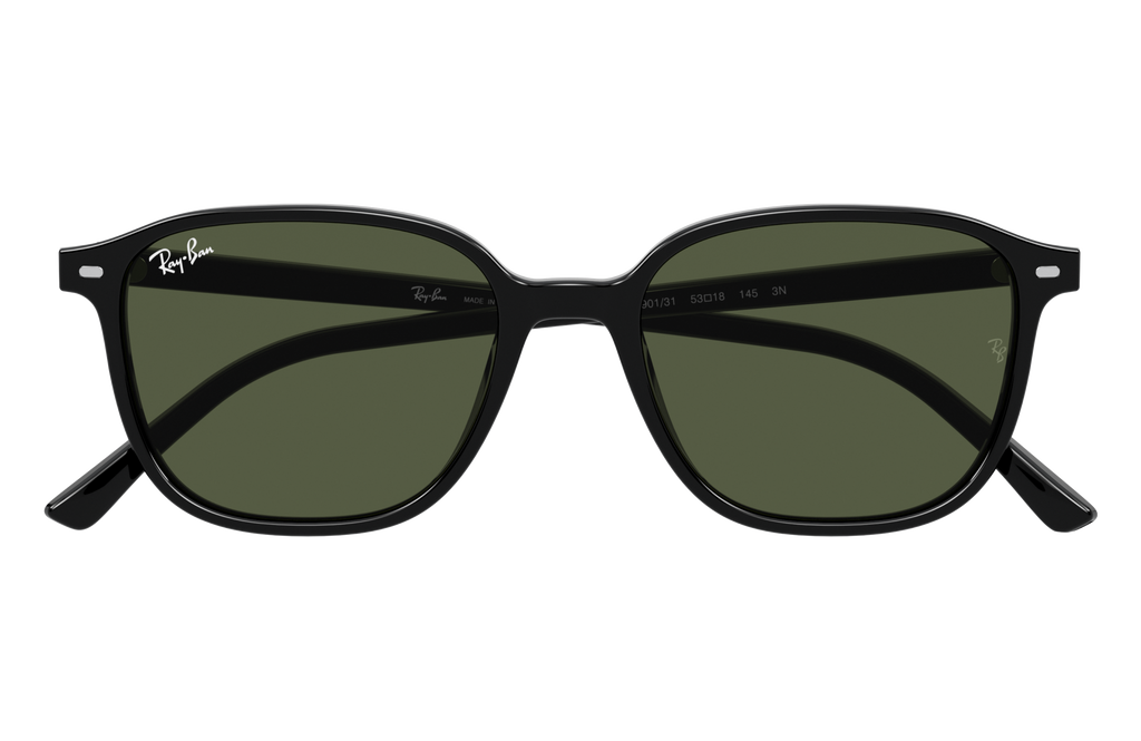 Ray-Ban | 0RB2193