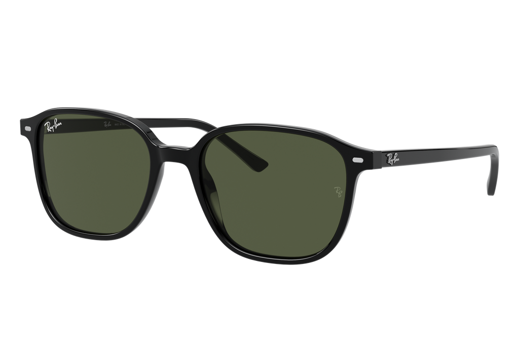 Ray-Ban | 0RB2193