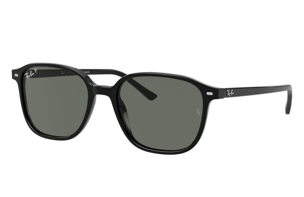 Ray-Ban | 0RB2193