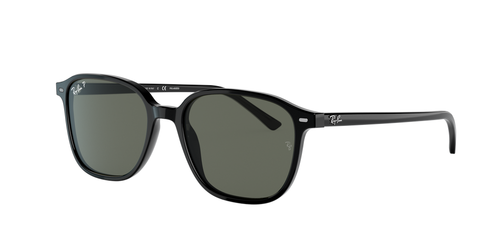 Ray-Ban | 0RB2193