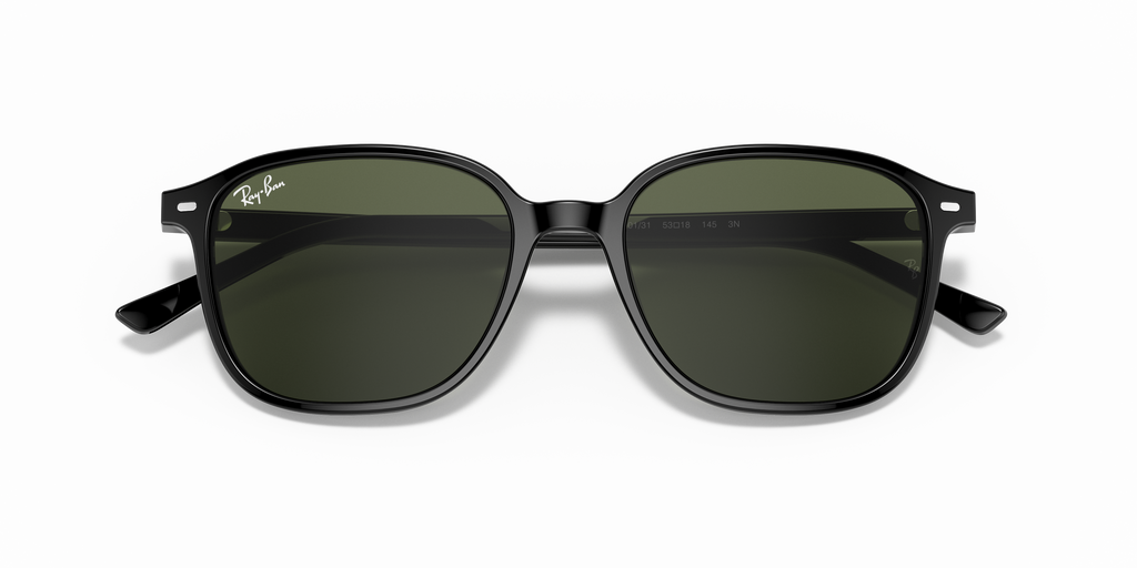 Ray-Ban | 0RB2193