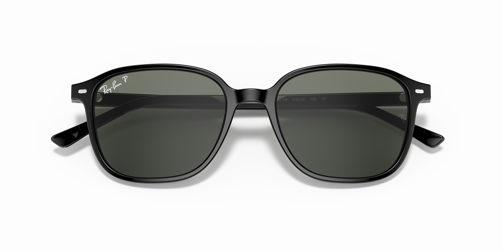 Ray-Ban | 0RB2193