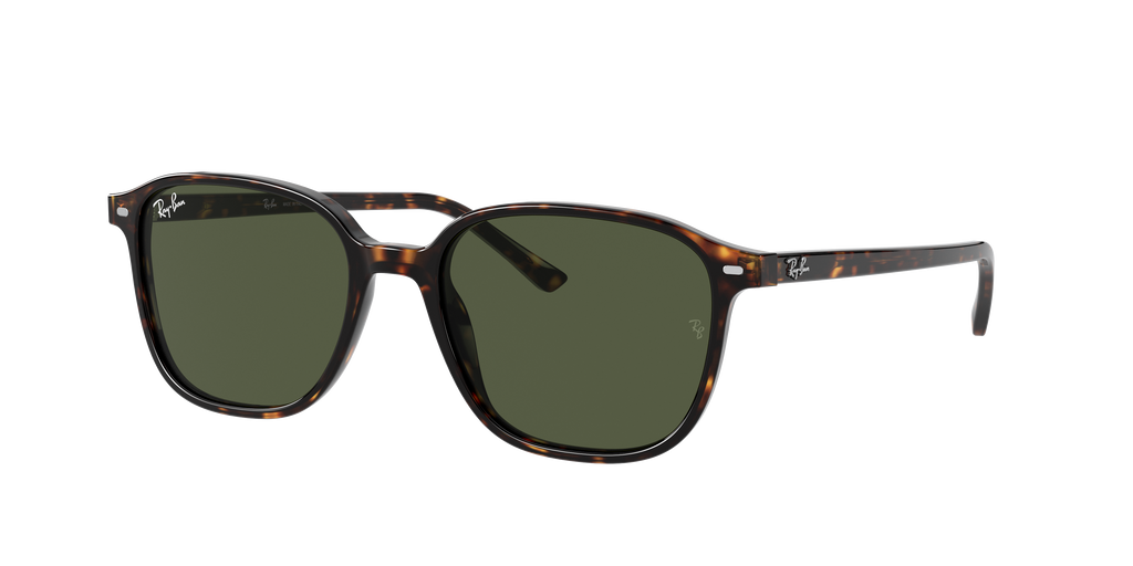 Ray-Ban | 0RB2193