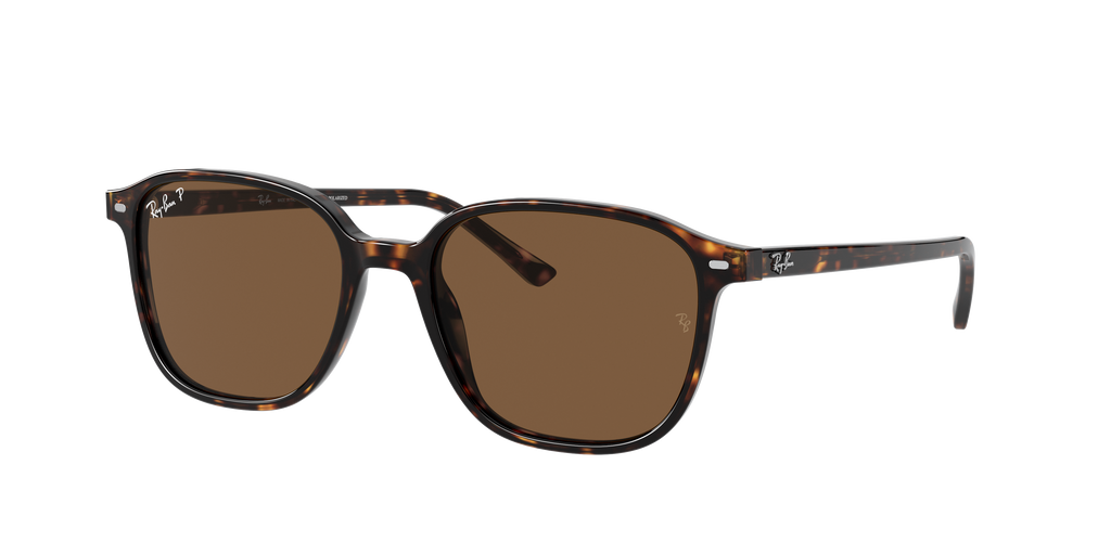 Ray-Ban | 0RB2193