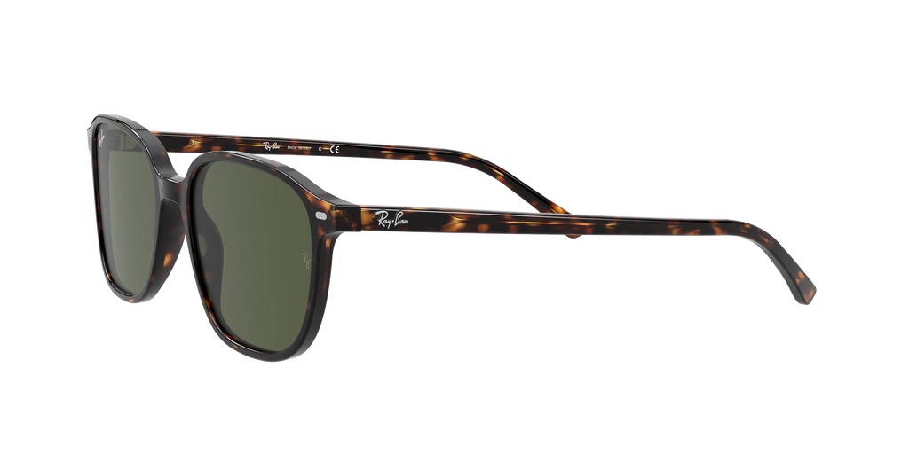 Ray-Ban | 0RB2193