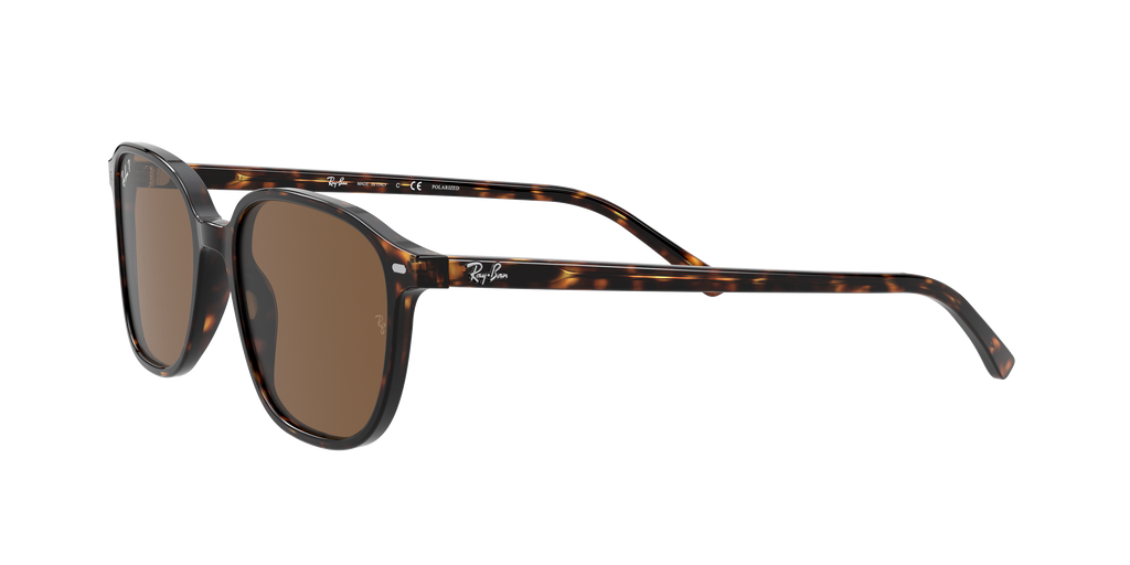 Ray-Ban | 0RB2193