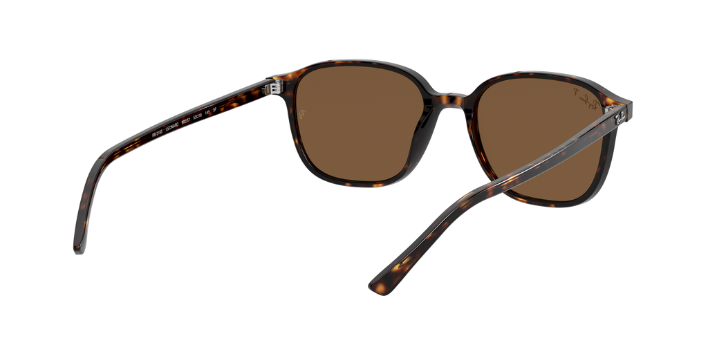 Ray-Ban | 0RB2193