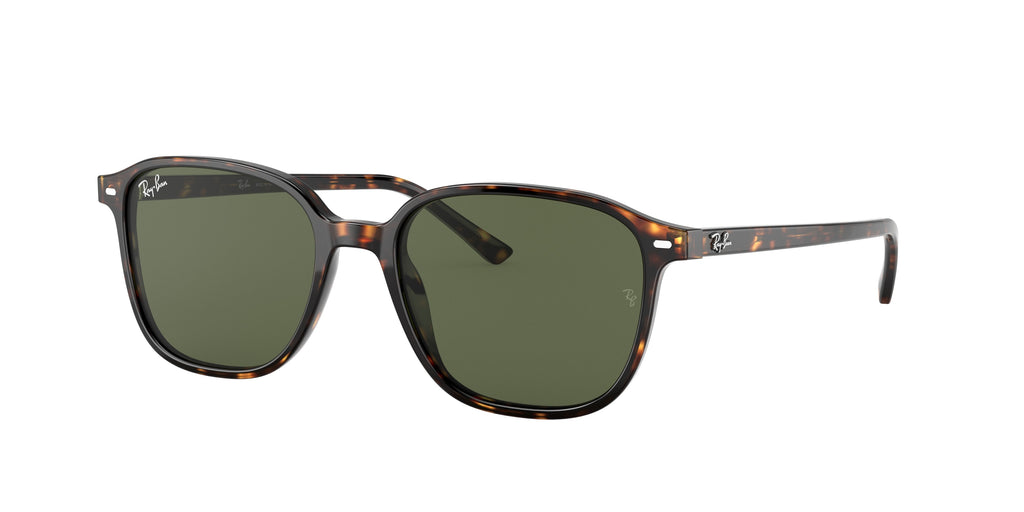 Ray-Ban | 0RB2193