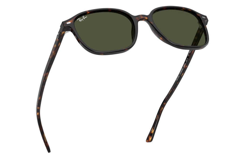 Ray-Ban | 0RB2193