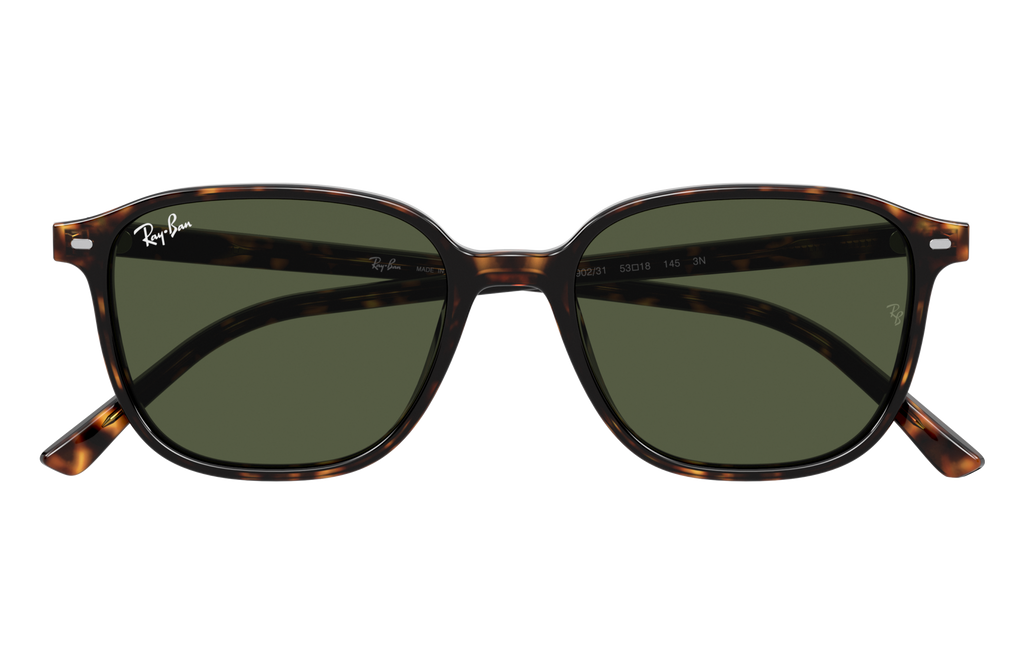 Ray-Ban | 0RB2193