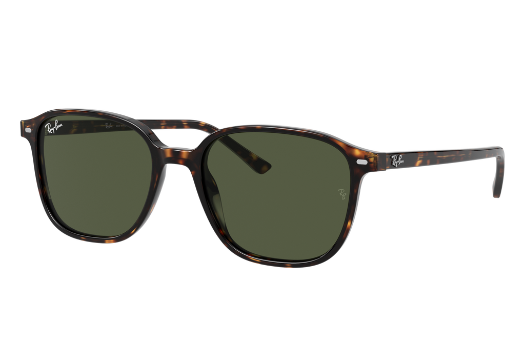 Ray-Ban | 0RB2193