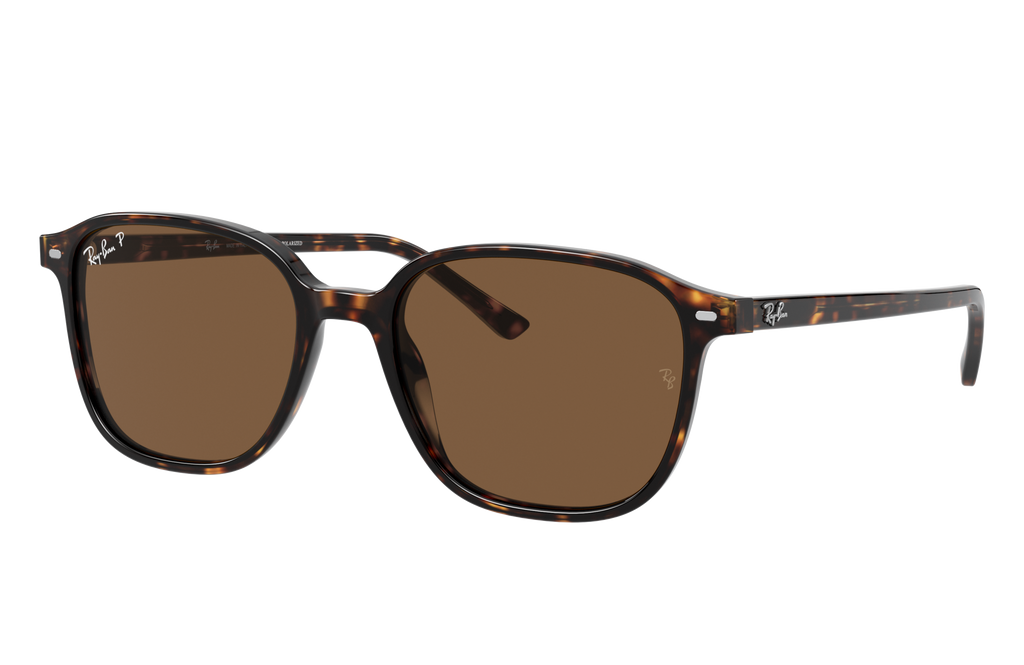 Ray-Ban | 0RB2193