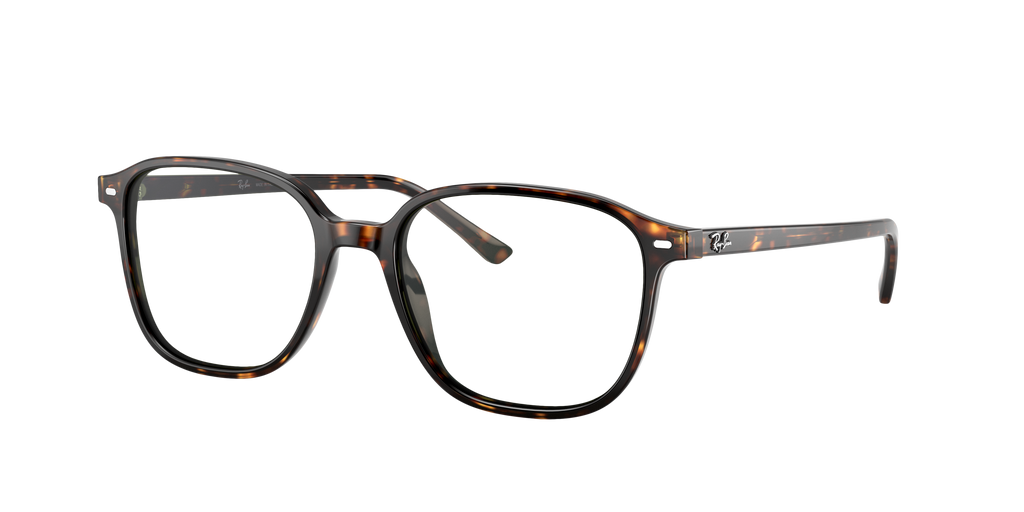 Ray-Ban | 0RB2193
