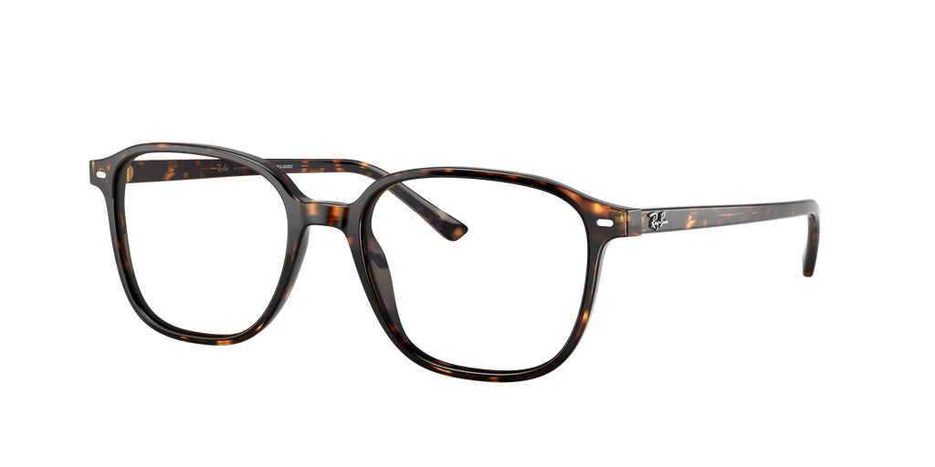 Ray-Ban | 0RB2193