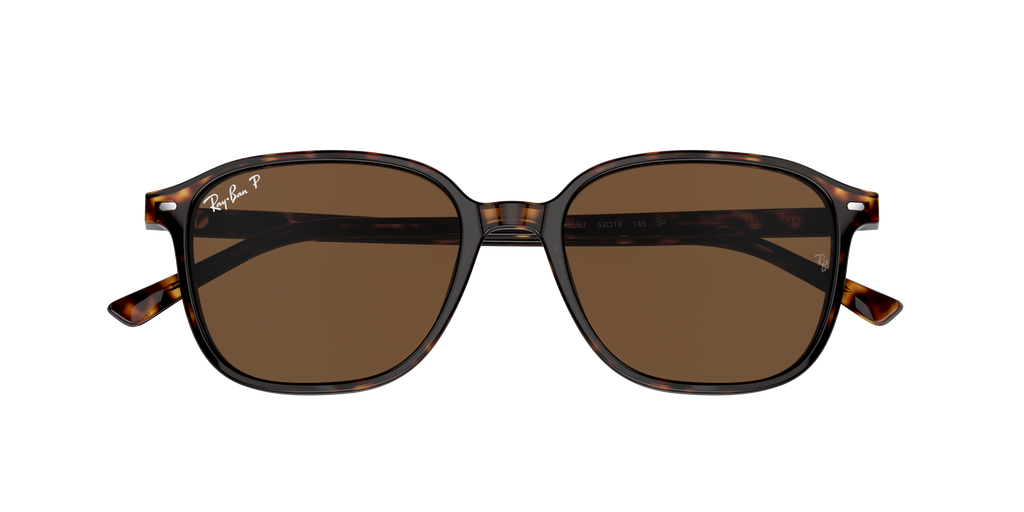 Ray-Ban | 0RB2193