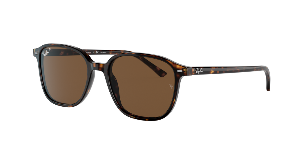 Ray-Ban | 0RB2193