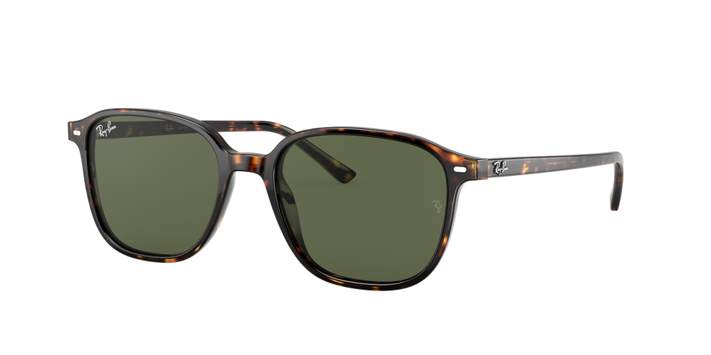 Ray-Ban | 0RB2193