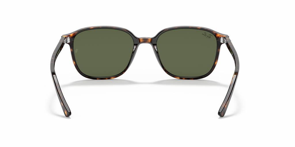 Ray-Ban | 0RB2193
