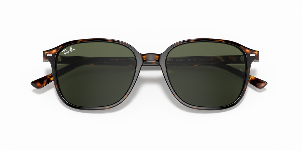 Ray-Ban | 0RB2193