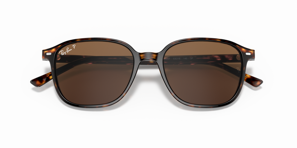 Ray-Ban | 0RB2193