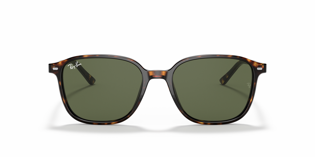 Ray-Ban | 0RB2193