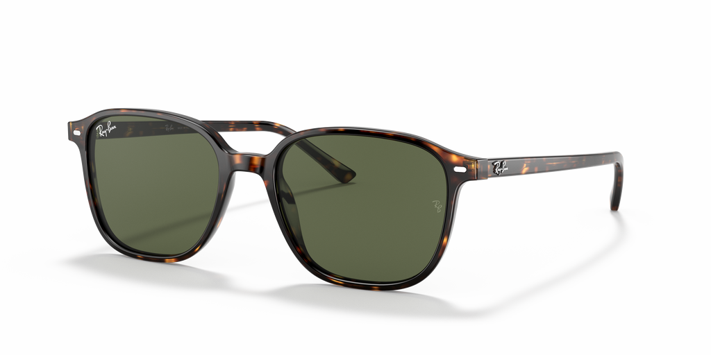 Ray-Ban | 0RB2193