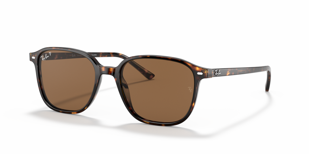 Ray-Ban | 0RB2193