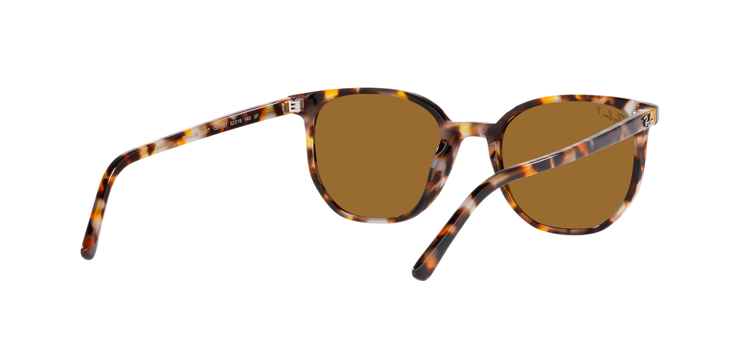 Ray-Ban | 0RB2197
