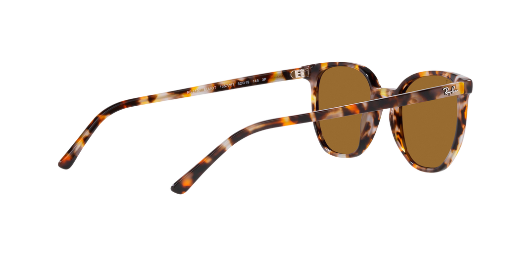 Ray-Ban | 0RB2197