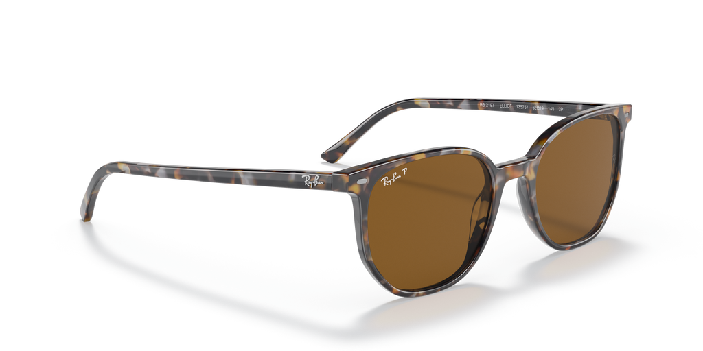 Ray-Ban | 0RB2197