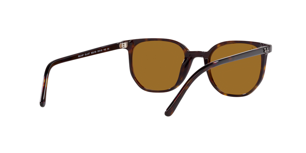 Ray-Ban | 0RB2197