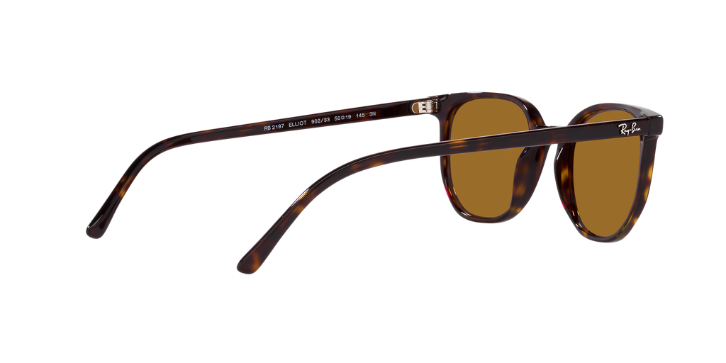 Ray-Ban | 0RB2197